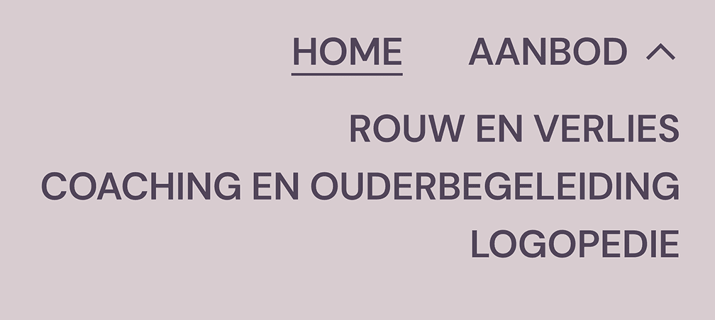 De navigatiebar van de website met 'Home' en 'Aanbod'